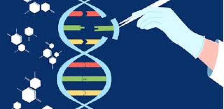 Bioteknologi dan Pengeditan Gen 2025