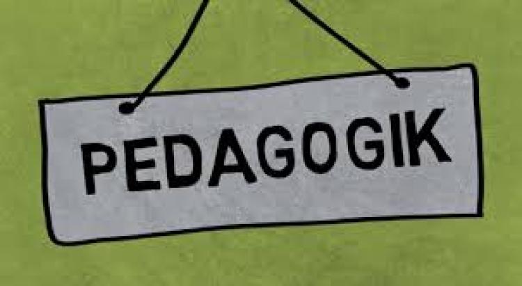 Deskripsi Sederhana Ilmu Pedagogik