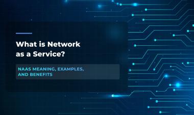Mengenal Teknologi Networking-as-a-Service (NaaS)