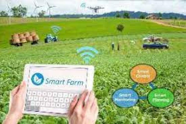Teknologi Terbaru di Industri Pangan di Masa Depan