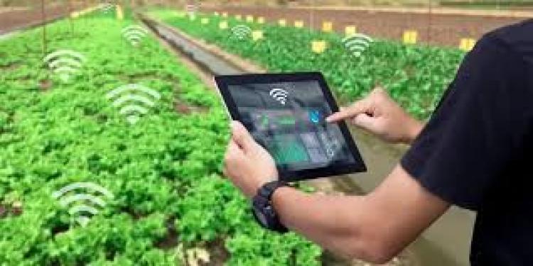 Teknologi Smart Farming dalam Pertanian Modern