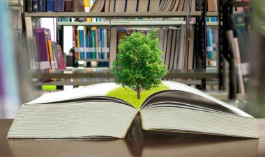 Model Pembelajaran Berbasis Lingkungan (Eco-Pedagogy)