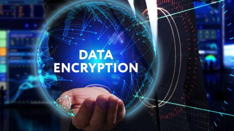 Cara Mengamankan Data Perusahaan dengan Teknologi Enkripsi