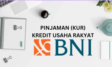 Skema Kredit Usaha Rakyat (KUR) BNI 2025 Peluang Emas Bagi UMKM untuk Naik Kelas