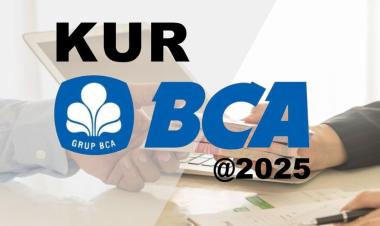 UMKM Pemula Kini Bisa Dapat Modal Usaha Rp50 Juta Tanpa Agunan Lewat KUR BCA 2025, Begini Caranya